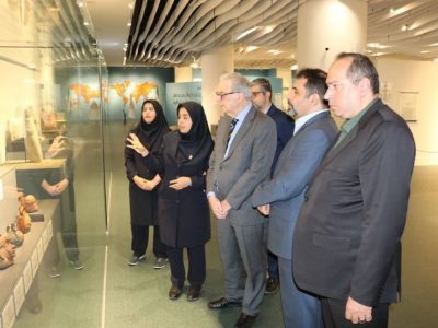 معاون سفیر اسپانیا: ایران به مرکز پیکاسو شناسی دنیا تبدیل شده است