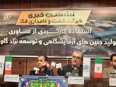 اصلاح نژاد؛ مسیر دامپروری پایدار از نگاه فکا/ وقتی تولید می‌ریزد، امنیت غذایی می‌لرزد