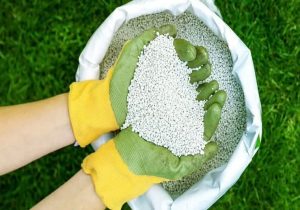 ۱۳۲۰ تن کود یارانه‌ای بین کشاورزان کاشان توزیع شد.