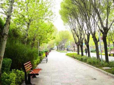 مدیرعامل سازمان پارک‌ها و فضای سبز شهرداری اصفهان: